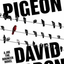 The Pigeon