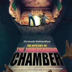 The Mystery of The Underground Chamber