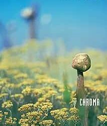 Chroma : A Book of Colour