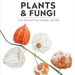 Plants and Fungi