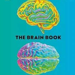 The Brain Book