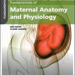 Fundamentals Of Maternal Anatomy And Physiology