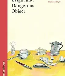Shine On, Bright And Dangerous Object