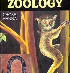 Fundamentals of Zoology