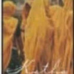 Katha: Short Stories By Indian Women