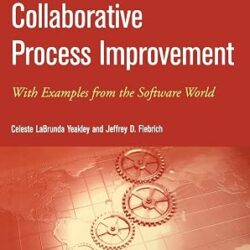 Collaborative Process Improvement With Examples From The Software World