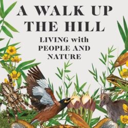 A Walk Up The Hill