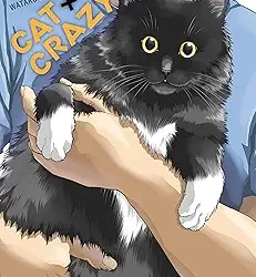 Cat + Crazy Volume 3