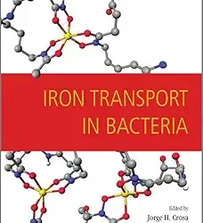 Iron Transport In Bacteria