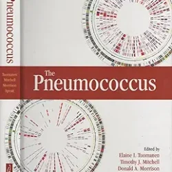 The Pneumococcus