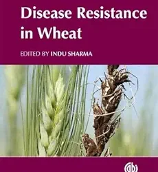 Disease Resistance in Wheat