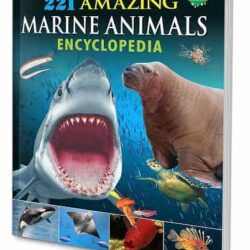221 Amazing Marine Animals