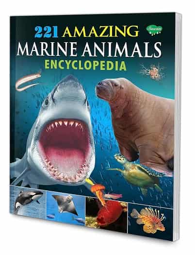 221 Amazing Marine Animals