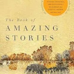 The Book of Amazing Stories