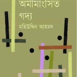 Rajnitir Omimangshito Godyo (রাজনীতির অমীমাংসিত গদ্য)