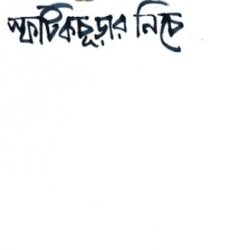 Sphatikchurar Niche (স্ফটিকচূড়ার নিচে) by Moshtaq Ahmed Deen