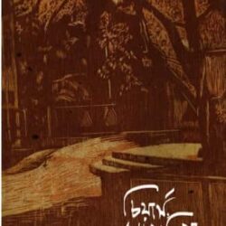 Cheers, Camellia (চিয়ার্স, ক্যামেলিয়া) by Pranto Palash