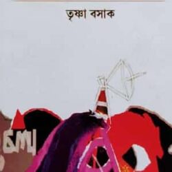 Ekhane Tower Nei (এখানে টাওয়ার নেই) by Trishna Basak