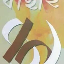 Bachai 49 (বাছাই ৪৯) by Sadhan Chattopadhyay