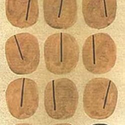 11 Idiot O Sei Meyetir Galpa (১১ ইডিয়ট ও সেই মেয়েটির গল্প) by Gautam Ray