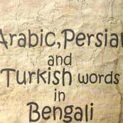 Arabic, Persian And Turkish Word In Bengali Literature
