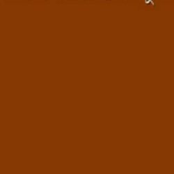 Rabindra Sannidhye Bonophul (রবীন্দ্র সান্নিধ্যে বনফুল) by Dr. Sarojkumar Pan