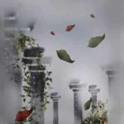 Stobdhotar Gan Shono (স্তব্ধতার গান শোনো) by Shankar Basu