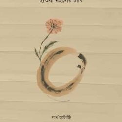 Haoya Mahaler Chabi (হাওয়া মহলের চাবি) by Partha Chatterjee