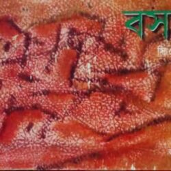 Bosot (বসত) by Joya Mitra