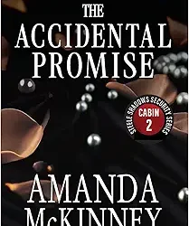 The Accidental Promise (Steele Shadows Security Series Cabin 2)