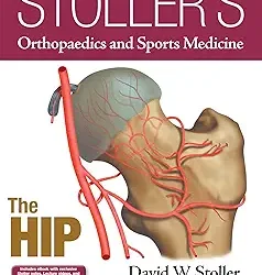 Stollers Orthopaedics And Sports Medicine The Hip