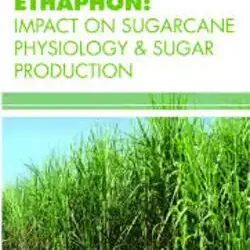 Ethaphon Impact On Sugarcane Physiology