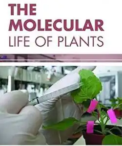The Molecular Life Of Plants
