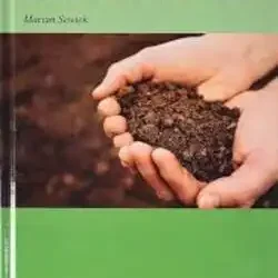Soil Mechanics And Foundations