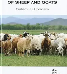 Veterinary Treatment Of Sheep And Goats