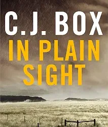 In Plain Sight