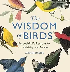 The Wisdom Of Birds: Essential Life Lessons For Positivity And Grace