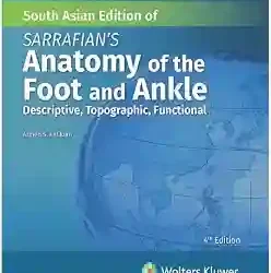 Sarrafians Anatomy Of The Foot And Ankle Descriptive Topographic Functional 4Ed