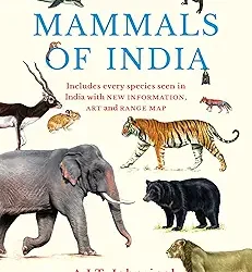 Mammals of India