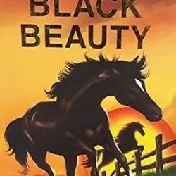 IIC:Black Beauty