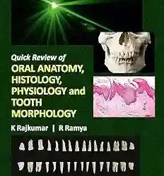 Quick Review Of Oral Anatomy Histology Physiology And Tooth Morphology