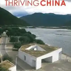 Thriving China Collection Of Contemporary Chinese