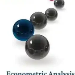 Econometric Analysis Of Panel Data
