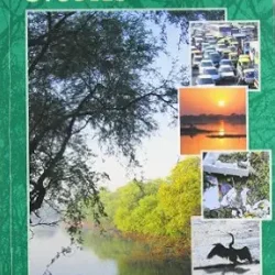 Environmental Studies