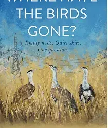Where Have The Birds Gone?