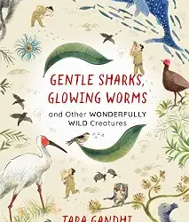 Gentle Sharks, Glowing Worms