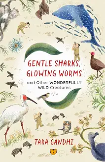 Gentle Sharks, Glowing Worms