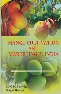 Mango Cultivation & Marketing in India