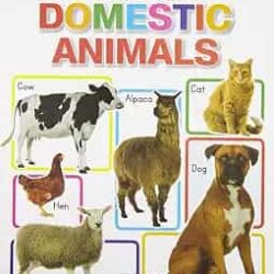 Big Board Book Of Domestic Animals