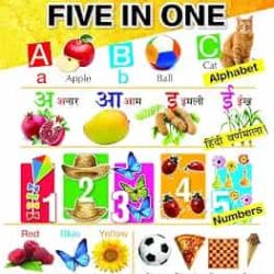 Big Board Book Of Five In One